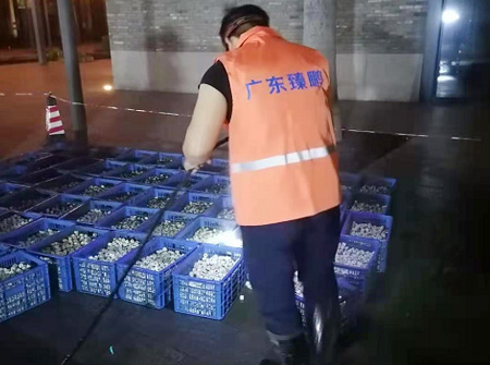 3月17日顺德华侨城欢乐海岸PLUS过滤池2022年度清洗工作正式展开